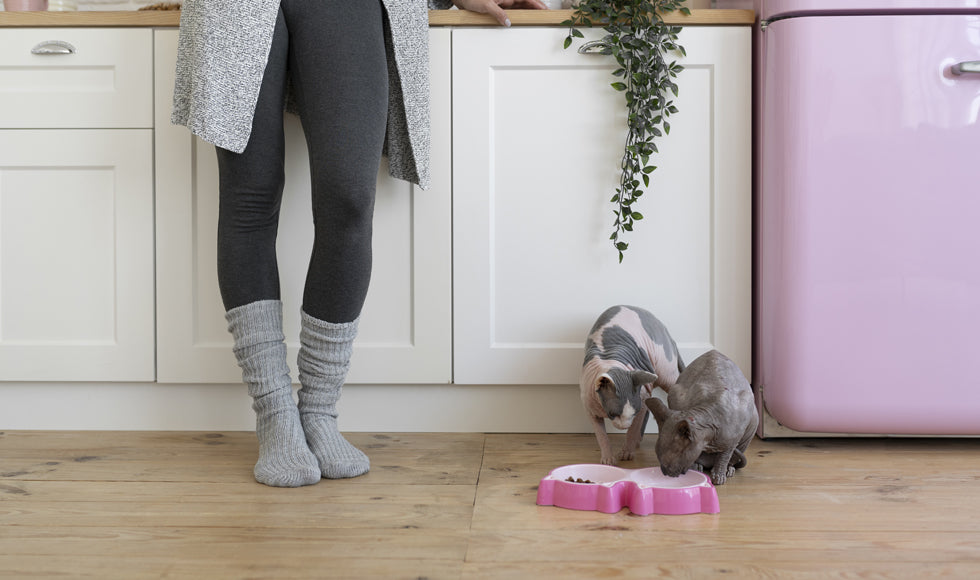 Choosing the Perfect Toy for Your Furry Friend