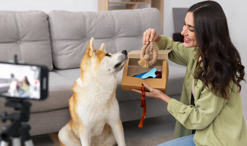 Why Quality Dog Toys Are Essential for Your Pup’s Happiness