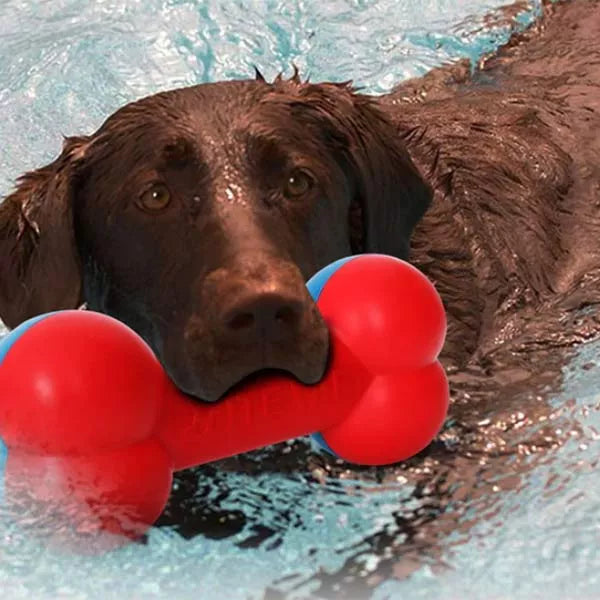 durable dog toys