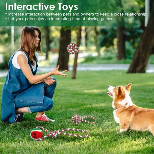 interactive dog toy