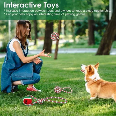 How Interactive Toys Improve Your Pet’s Mental Health and Activity