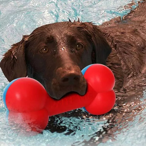 Best Dog Chew Toys for Aggressive Chewers (That Actually Last)