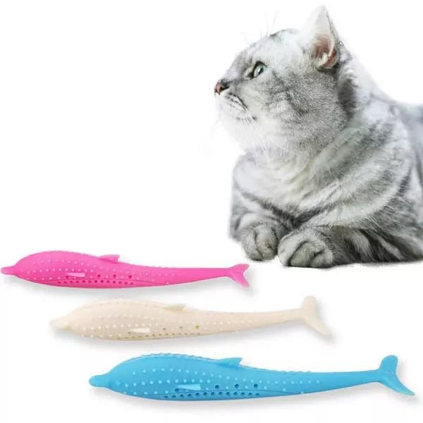 Best Cat Teething Toys for Kittens That Love to Chew